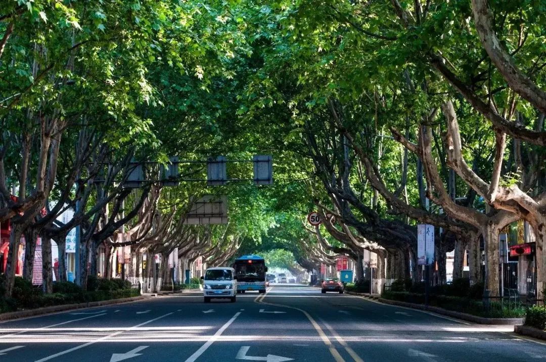 新手上路，请多关照